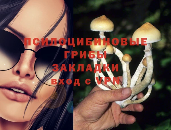 герыч Алзамай