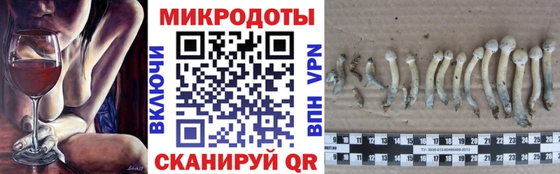 Псилоцибиновые грибы Psilocybine cubensis  Данилов 
